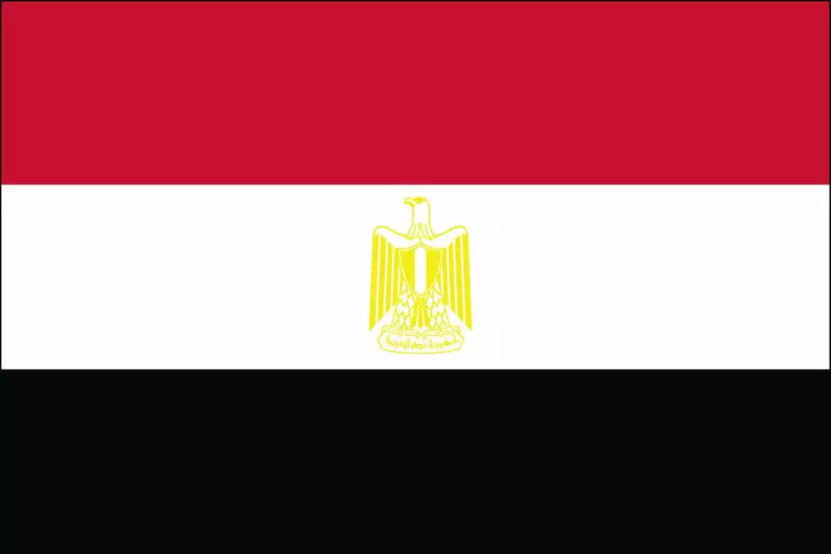 عربى